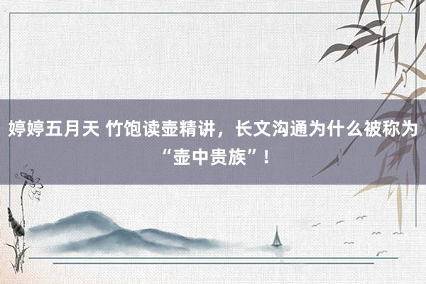 婷婷五月天 竹饱读壶精讲，长文沟通为什么被称为“壶中贵族”！