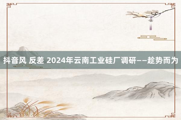 抖音风 反差 2024年云南工业硅厂调研——趁势而为