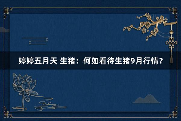 婷婷五月天 生猪：何如看待生猪9月行情？