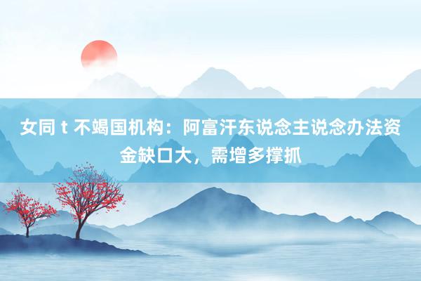 女同 t 不竭国机构：阿富汗东说念主说念办法资金缺口大，需增多撑抓