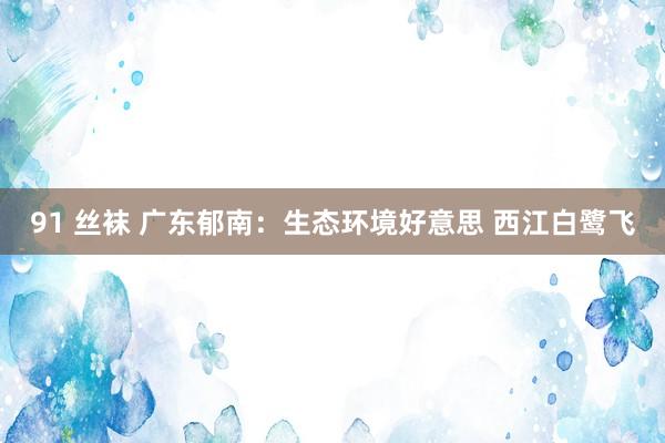 91 丝袜 广东郁南：生态环境好意思 西江白鹭飞