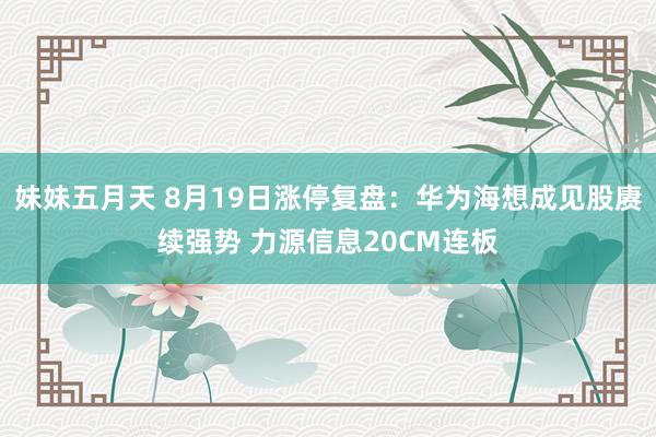 妹妹五月天 8月19日涨停复盘：华为海想成见股赓续强势 力源信息20CM连板