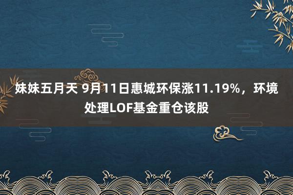 妹妹五月天 9月11日惠城环保涨11.19%，环境处理LOF基金重仓该股