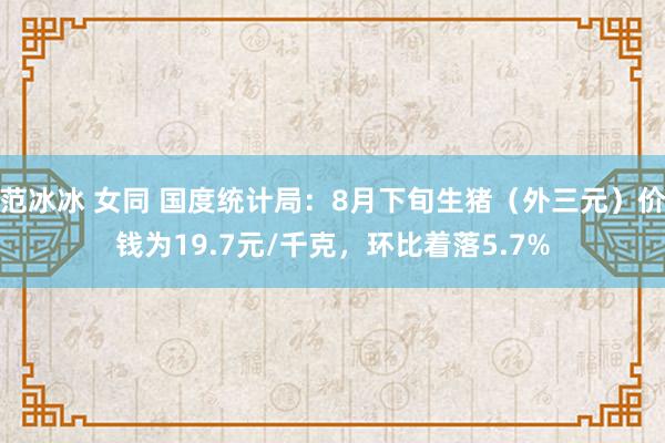 范冰冰 女同 国度统计局：8月下旬生猪（外三元）价钱为19.7元/千克，环比着落5.7%
