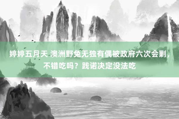 婷婷五月天 澳洲野兔无独有偶被政府六次会剿，不错吃吗？践诺决定没法吃