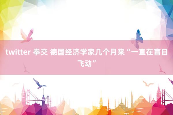 twitter 拳交 德国经济学家几个月来“一直在盲目飞动”