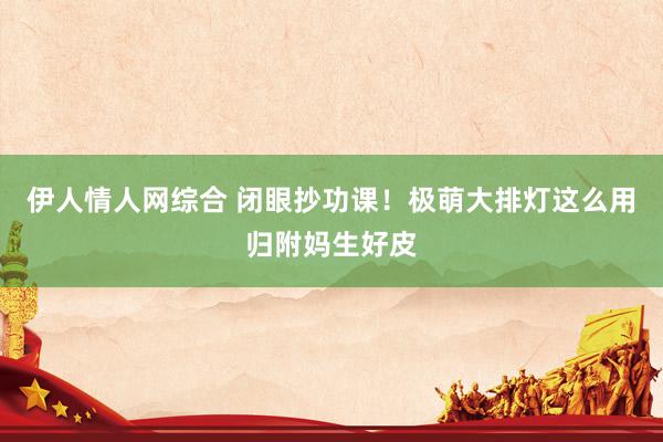 伊人情人网综合 闭眼抄功课！极萌大排灯这么用归附妈生好皮