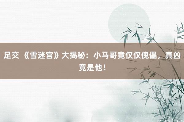 足交 《雪迷宫》大揭秘：小马哥竟仅仅傀儡，真凶竟是他！