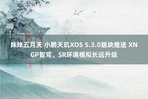妹妹五月天 小鹏天玑XOS 5.3.0版块推送 XNGP智驾、SR环境模拟长远升级