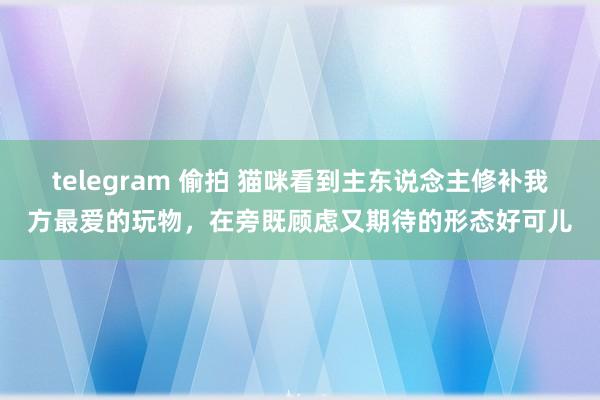 telegram 偷拍 猫咪看到主东说念主修补我方最爱的玩物，在旁既顾虑又期待的形态好可儿