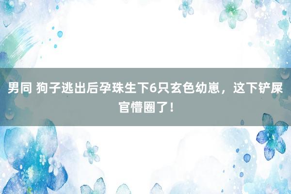 男同 狗子逃出后孕珠生下6只玄色幼崽，这下铲屎官懵圈了！