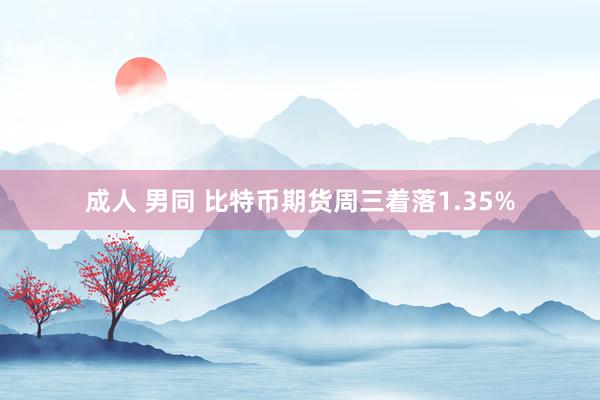 成人 男同 比特币期货周三着落1.35%