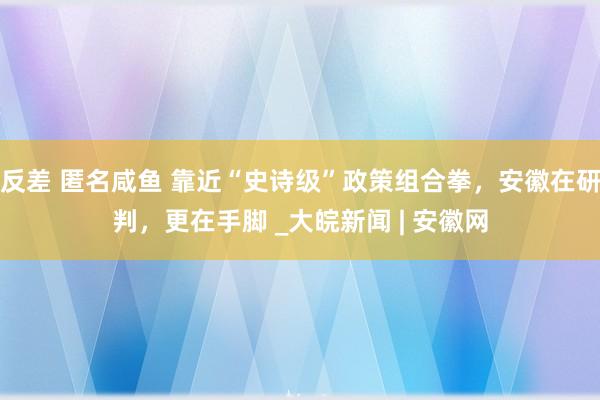 反差 匿名咸鱼 靠近“史诗级”政策组合拳，安徽在研判，更在手脚 _大皖新闻 | 安徽网