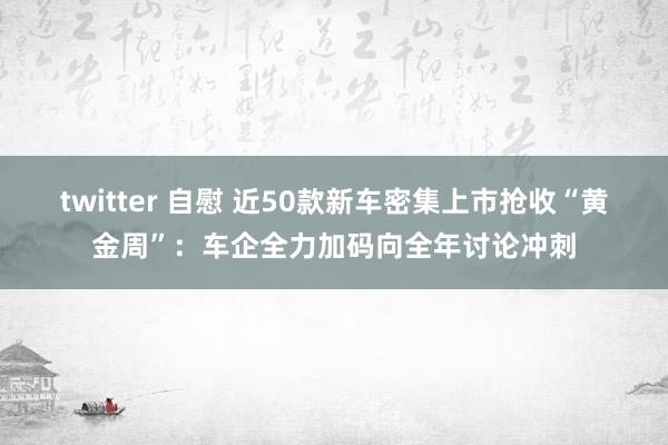 twitter 自慰 近50款新车密集上市抢收“黄金周”：车企全力加码向全年讨论冲刺