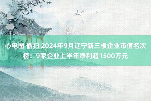 心电图 偷拍 2024年9月辽宁新三板企业市值名次榜：9家企业上半年净利超1500万元