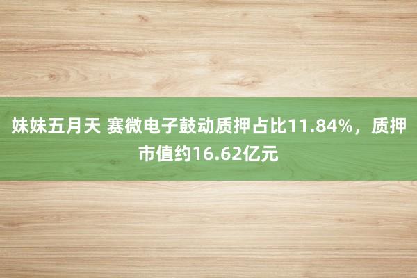 妹妹五月天 赛微电子鼓动质押占比11.84%，质押市值约16.62亿元