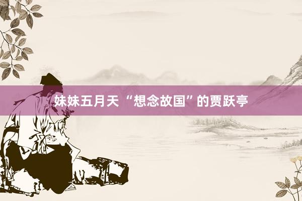 妹妹五月天 “想念故国”的贾跃亭