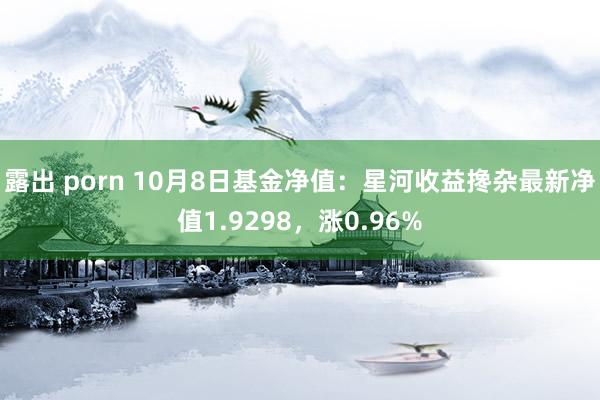 露出 porn 10月8日基金净值：星河收益搀杂最新净值1.9298，涨0.96%