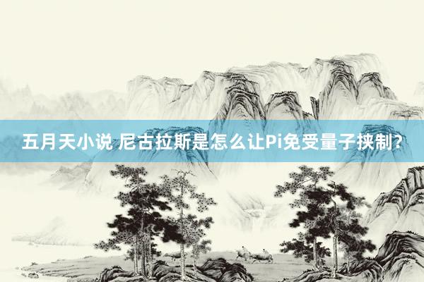 五月天小说 尼古拉斯是怎么让Pi免受量子挟制？