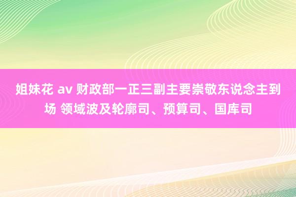 姐妹花 av 财政部一正三副主要崇敬东说念主到场 领域波及轮廓司、预算司、国库司