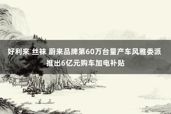 好利来 丝袜 蔚来品牌第60万台量产车风雅委派 推出6亿元购车加电补贴