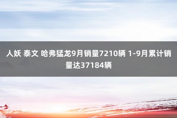 人妖 泰文 哈弗猛龙9月销量7210辆 1-9月累计销量达37184辆