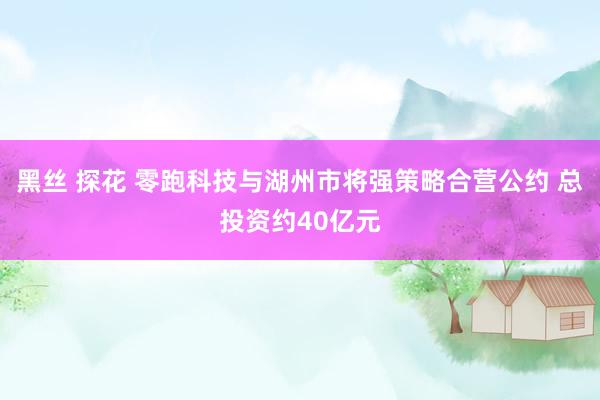 黑丝 探花 零跑科技与湖州市将强策略合营公约 总投资约40亿元