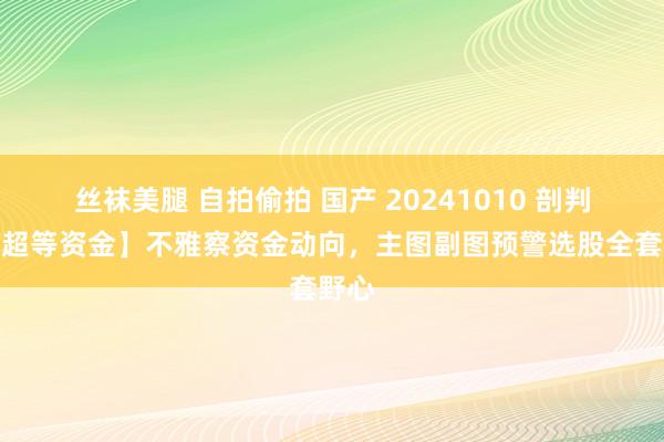丝袜美腿 自拍偷拍 国产 20241010 剖判信【超等资金】不雅察资金动向，主图副图预警选股全套野心