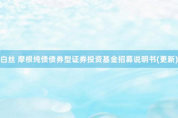 白丝 摩根纯债债券型证券投资基金招募说明书(更新)