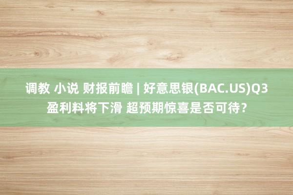 调教 小说 财报前瞻 | 好意思银(BAC.US)Q3盈利料将下滑 超预期惊喜是否可待？
