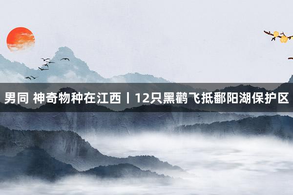 男同 神奇物种在江西丨12只黑鹳飞抵鄱阳湖保护区