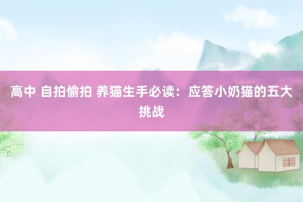 高中 自拍偷拍 养猫生手必读：应答小奶猫的五大挑战