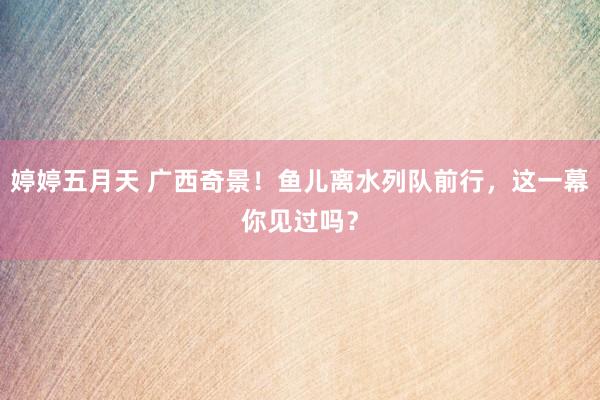 婷婷五月天 广西奇景！鱼儿离水列队前行，这一幕你见过吗？