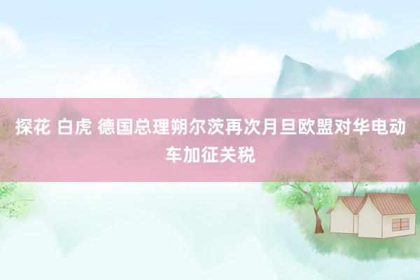 探花 白虎 德国总理朔尔茨再次月旦欧盟对华电动车加征关税
