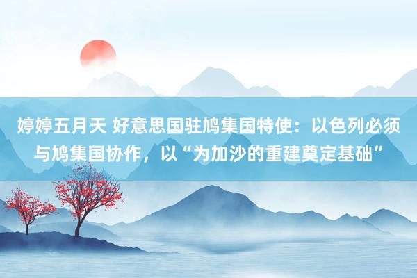 婷婷五月天 好意思国驻鸠集国特使：以色列必须与鸠集国协作，以“为加沙的重建奠定基础”