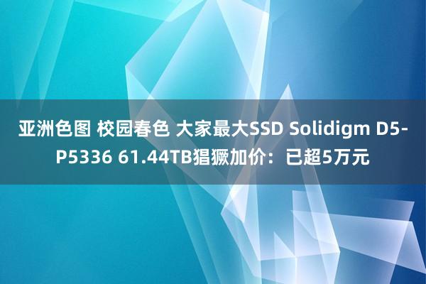 亚洲色图 校园春色 大家最大SSD Solidigm D5-P5336 61.44TB猖獗加价：已超5万元