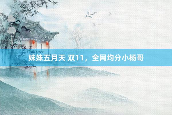 妹妹五月天 双11，全网均分小杨哥