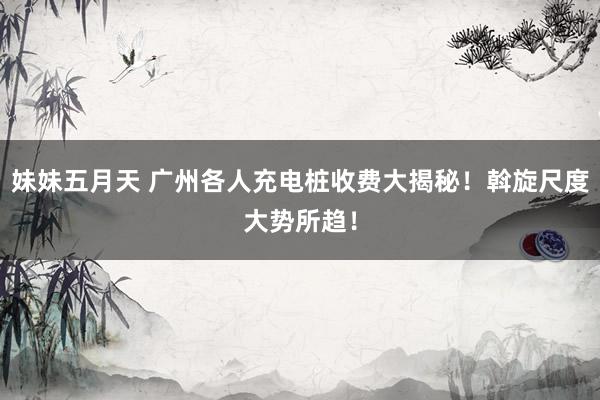 妹妹五月天 广州各人充电桩收费大揭秘！斡旋尺度大势所趋！