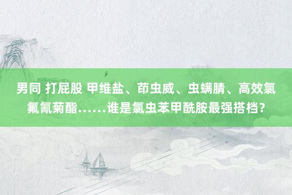 男同 打屁股 甲维盐、茚虫威、虫螨腈、高效氯氟氰菊酯……谁是氯虫苯甲酰胺最强搭档？