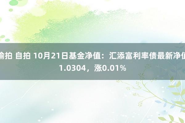 偷拍 自拍 10月21日基金净值：汇添富利率债最新净值1.0304，涨0.01%