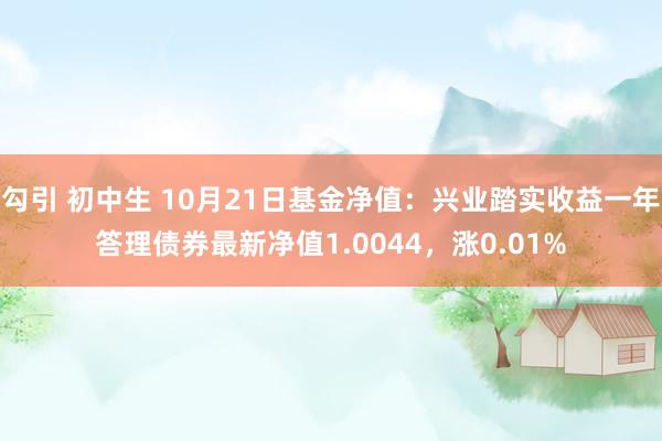 勾引 初中生 10月21日基金净值：兴业踏实收益一年答理债券最新净值1.0044，涨0.01%