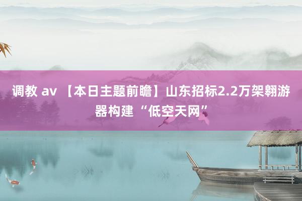 调教 av 【本日主题前瞻】山东招标2.2万架翱游器构建 “低空天网”