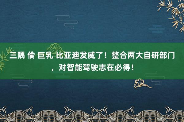 三隅 倫 巨乳 比亚迪发威了！整合两大自研部门，对智能驾驶志在必得！