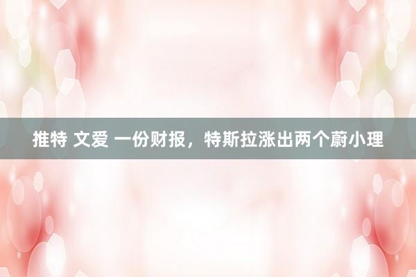 推特 文爱 一份财报，特斯拉涨出两个蔚小理