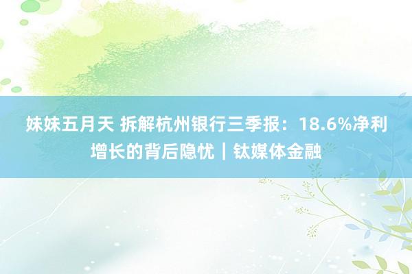 妹妹五月天 拆解杭州银行三季报：18.6%净利增长的背后隐忧｜钛媒体金融