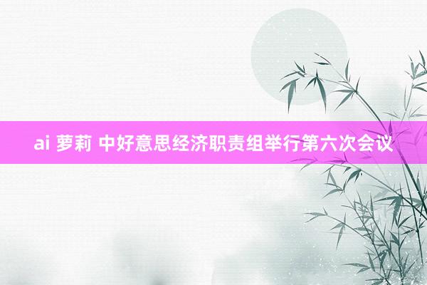 ai 萝莉 中好意思经济职责组举行第六次会议