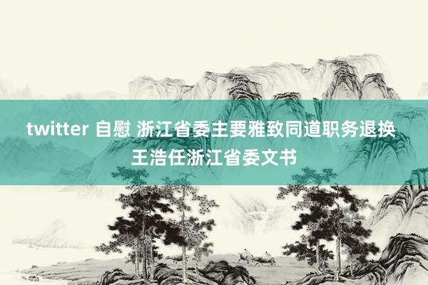 twitter 自慰 浙江省委主要雅致同道职务退换 王浩任浙江省委文书