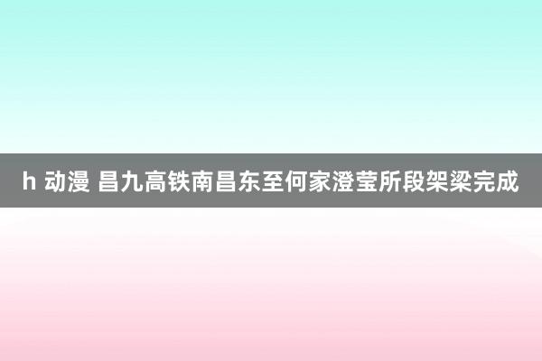 h 动漫 昌九高铁南昌东至何家澄莹所段架梁完成