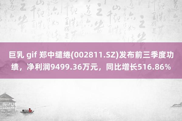 巨乳 gif 郑中缱绻(002811.SZ)发布前三季度功绩，净利润9499.36万元，同比增长516.86%