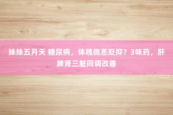 妹妹五月天 糖尿病，体魄微恙贬抑？3味药，肝脾肾三脏同调改善